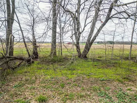 Steiner Road, Creston, OH 44217 photo 18