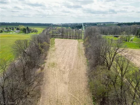 Steiner Road, Creston, OH 44217 photo 6