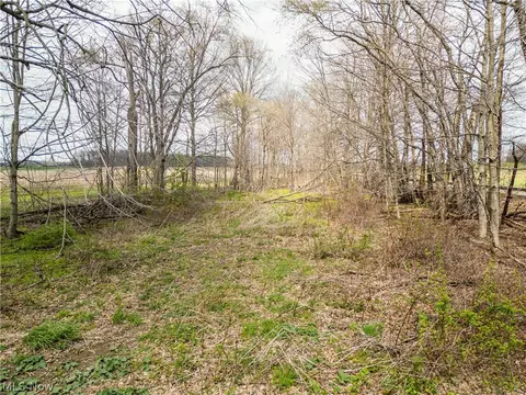 Steiner Road, Creston, OH 44217 photo 17