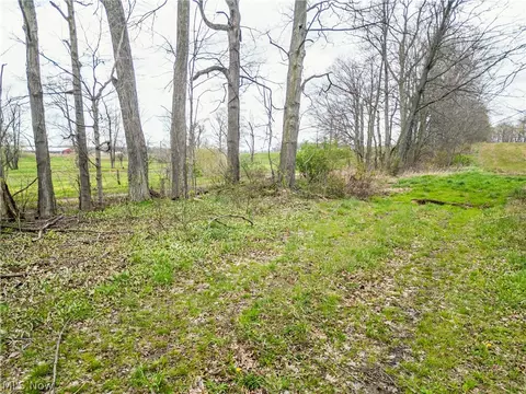 Steiner Road, Creston, OH 44217 photo 13