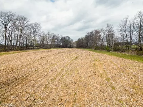 Steiner Road, Creston, OH 44217 photo 20