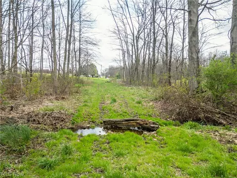 Steiner Road, Creston, OH 44217 photo 10