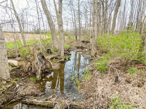 Steiner Road, Creston, OH 44217 photo 14