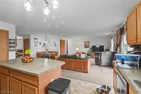 1009 County Road 40, Nova, OH 44859 photo 12