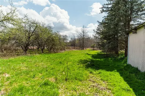 2483 Steiner Rd, Creston, OH 44217 photo 18