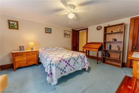 2483 Steiner Rd, Creston, OH 44217 photo 43