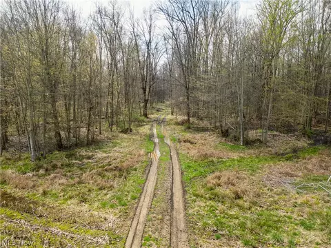 Steiner Road, Creston, OH 44217 photo 6