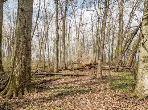 Steiner Road, Creston, OH 44217 photo 4