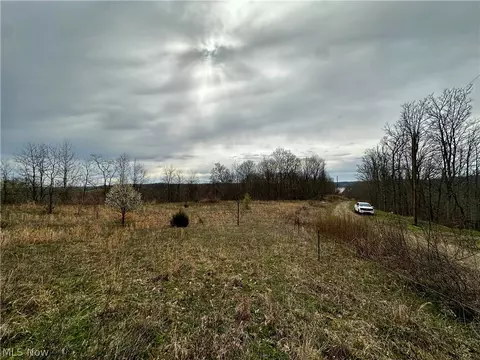 35840 Swan Rd, Long Bottom, OH 45743