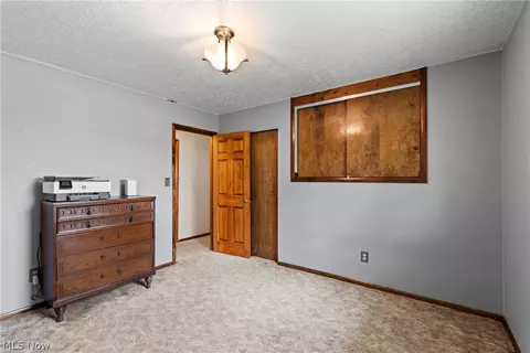 71770 Chini Orchard Rd, Flushing, OH 43977 photo 22