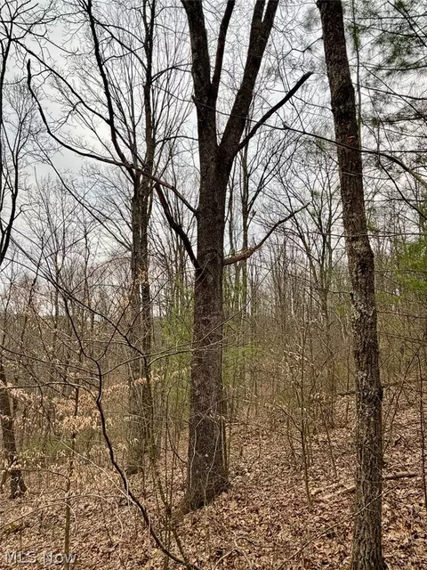 Hanson Road, Beverly, OH 45715 photo 35