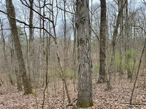Hanson Road, Beverly, OH 45715 photo 7