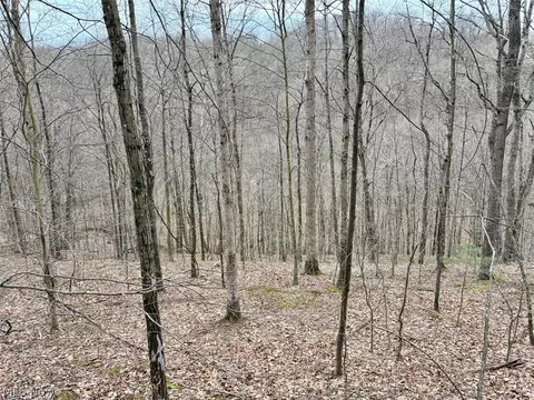 Hanson Road, Beverly, OH 45715 photo 5