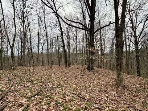 Hanson Road, Beverly, OH 45715 photo 6