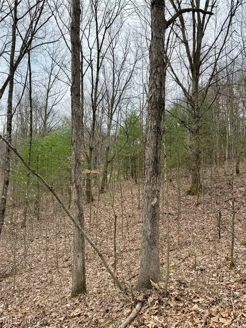 Hanson Road, Beverly, OH 45715 photo 36