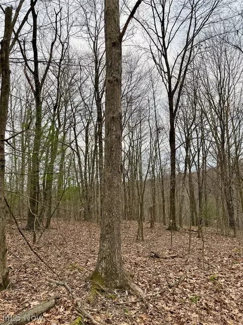 Hanson Road, Beverly, OH 45715 photo 37
