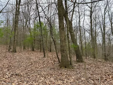 Hanson Road, Beverly, OH 45715 photo 38