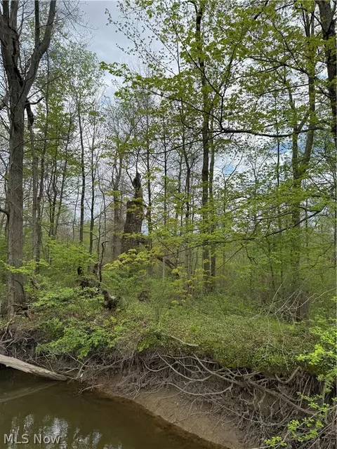 V/l Donley Road, Middlefield, OH 44062