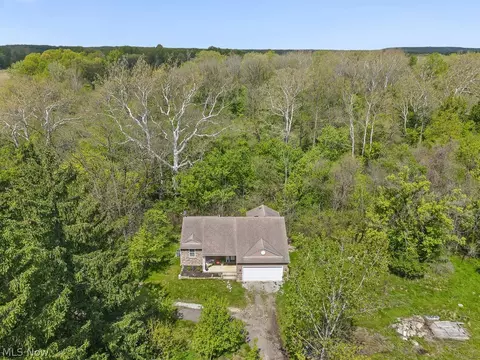 View/Area - 14002 Diagonal Rd, Lagrange, OH 44050 photo 1 of 5
