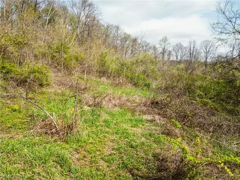 E Captina Highway Road, Alledonia, OH 43902
