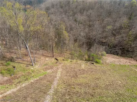 E Captina Highway Road, Alledonia, OH 43902