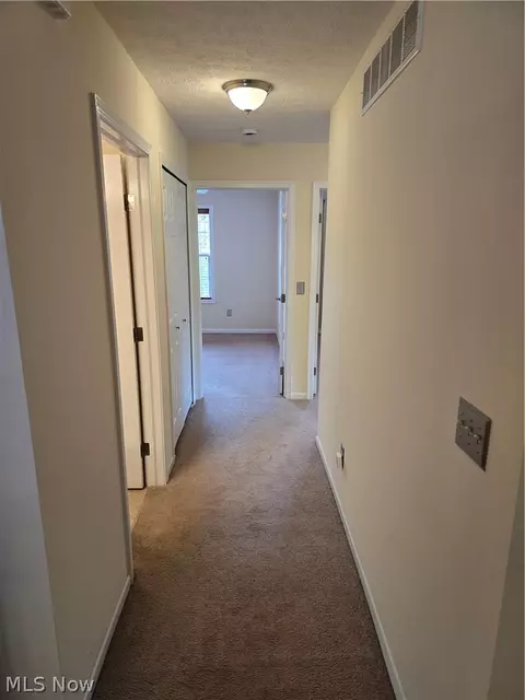 136 Haydens Arbor, Elyria, OH 44035 photo 25