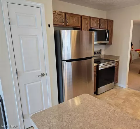 136 Haydens Arbor, Elyria, OH 44035 photo 6