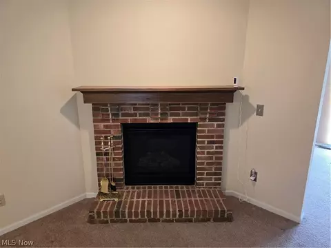 136 Haydens Arbor, Elyria, OH 44035 photo 11