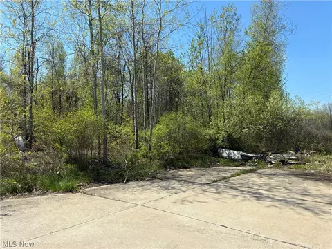 Sferra Avenue, Warren, OH 44483