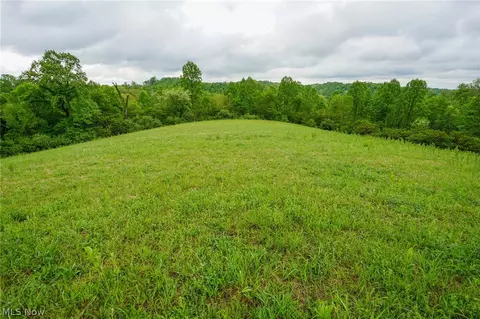 Van Fossen Ln, Chesterhill, OH 43728