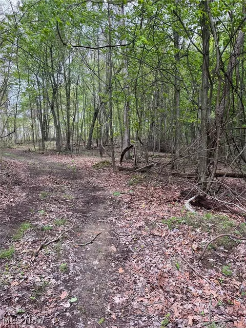 Sandy Ridge Road, Tippecanoe, OH 44699
