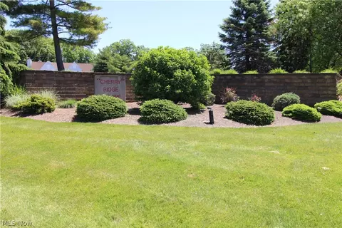 1217 W River Rd N #D1, Elyria, OH 44035 photo 42