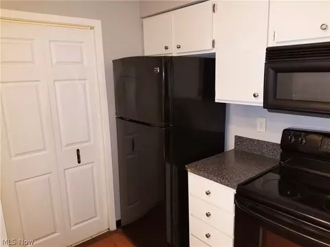 1217 W River Rd N #D1, Elyria, OH 44035 photo 7