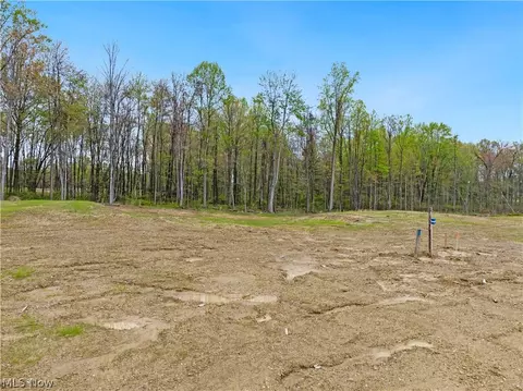 9527 River Birch Run, Brecksville, OH 44141