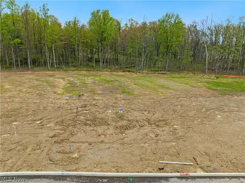 9531 River Birch Run, Brecksville, OH 44141