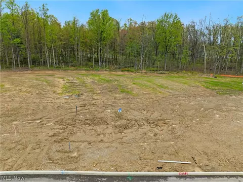 9531 River Birch Run, Brecksville, OH 44141