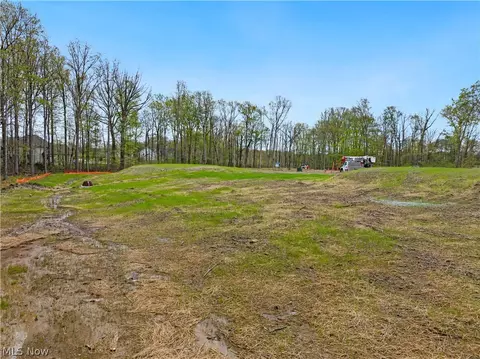 9533 River Birch Run, Brecksville, OH 44141