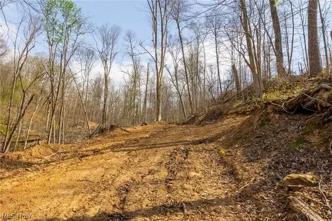 0 Twp Rd 63 Deans Fork Rd #5, Whipple, OH 45788