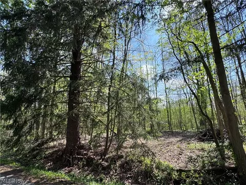 11664 Chestnutdale Rd, Chardon, OH 44024