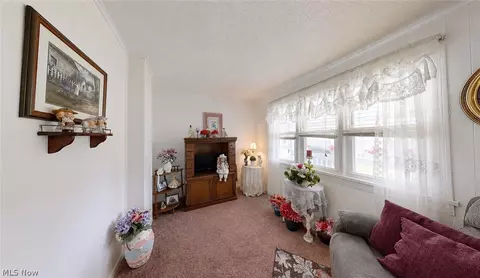 596 Mill St, Conneaut, OH 44030 photo 7