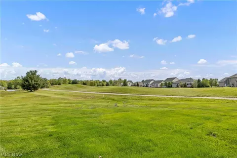 Other - 147 Granger Dr, Lagrange, OH 44050 photo 9 of 10