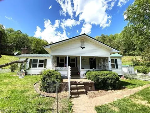 2174 Middle Fork Rd, Reedy, WV 25270