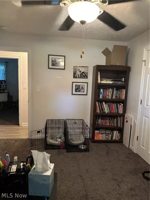 Other - 4381 Magnolia Ave, Perry, OH 44081 photo 5 of 14