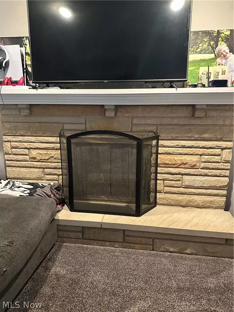 Other - 4381 Magnolia Ave, Perry, OH 44081 photo 3 of 14