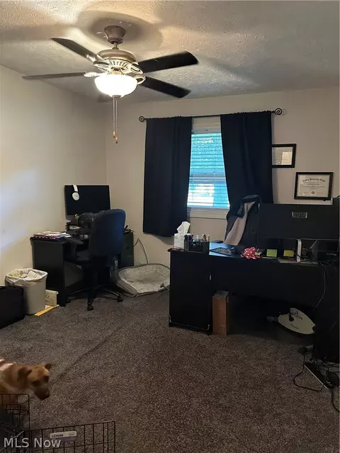 Other - 4381 Magnolia Ave, Perry, OH 44081 photo 6 of 14