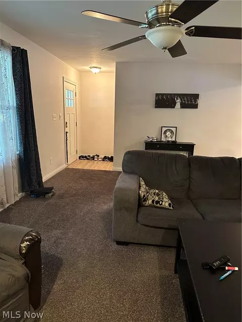 Entry Way - 4381 Magnolia Ave, Perry, OH 44081 photo 1 of 1
