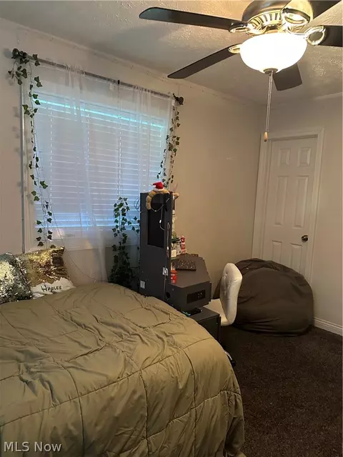 Bedroom - 4381 Magnolia Ave, Perry, OH 44081 photo 3 of 7