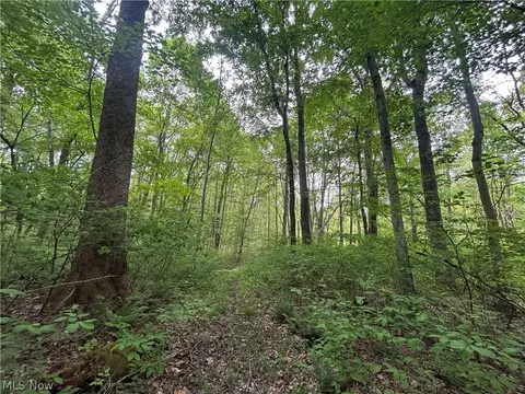 Wesley Chapel, Mount Perry, OH 43760 photo 3