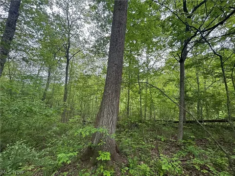 Wesley Chapel, Mount Perry, OH 43760 photo 13