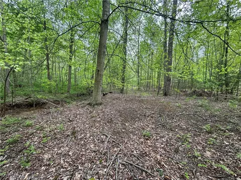 Wesley Chapel, Mount Perry, OH 43760 photo 8